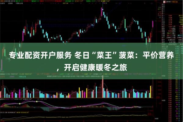 专业配资开户服务 冬日“菜王”菠菜：平价营养，开启健康暖冬之旅