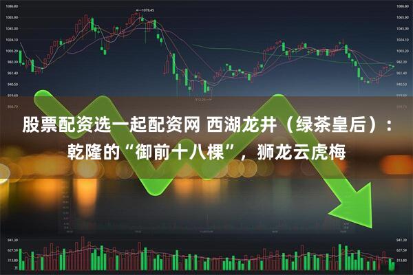 股票配资选一起配资网 西湖龙井（绿茶皇后）：乾隆的“御前十八棵”，狮龙云虎梅